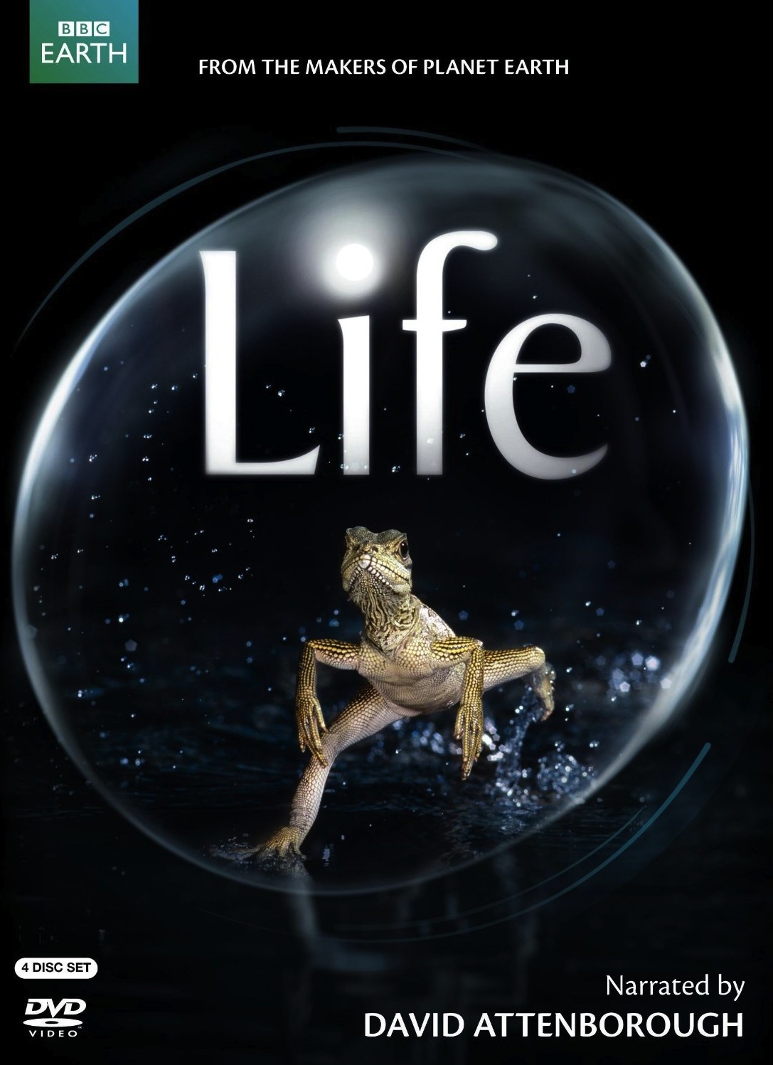 bbc life bbc life